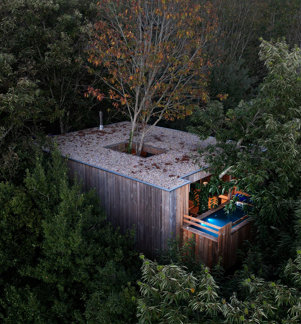 Sleep in a cabin among trees